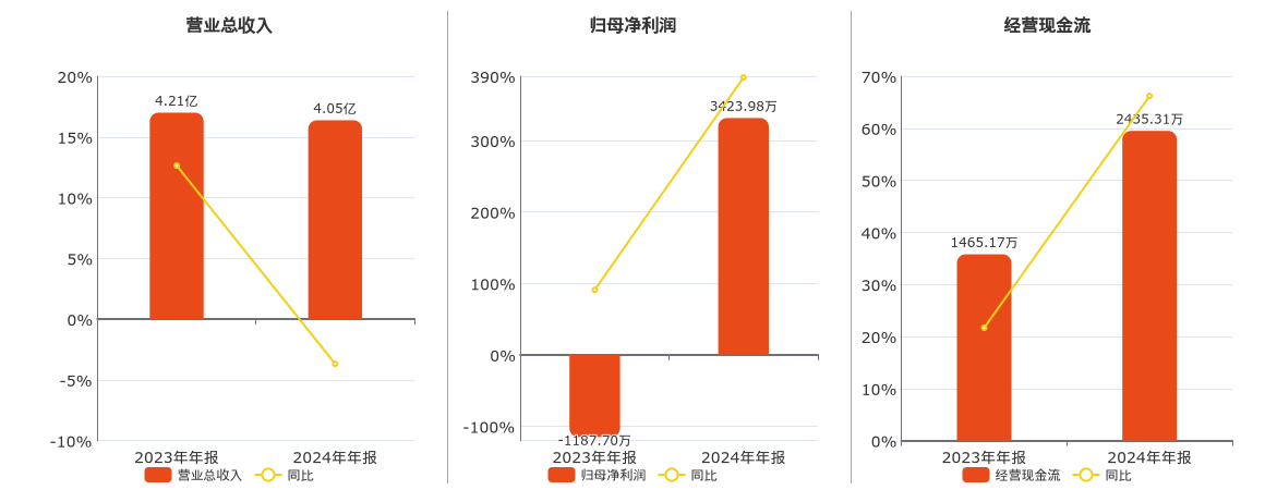 亚太药业(002370.SZ)：2024年年报净利润为3423.98万元