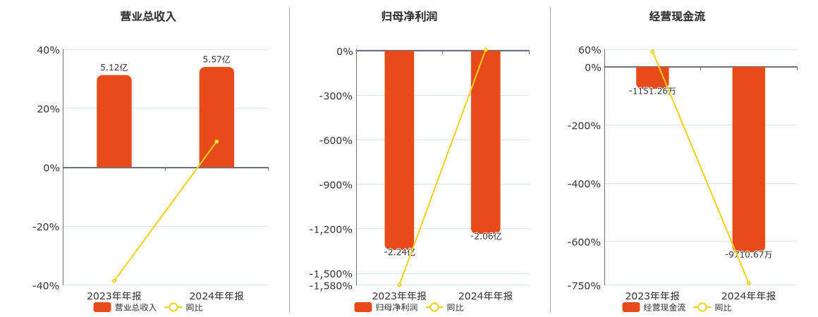 科信技术(300565.SZ)：2024年年报净利润为-2.06亿元