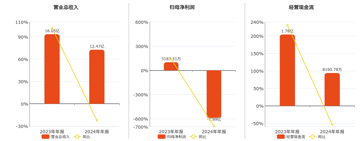 赛福天(603028.SH)：2024年年报净利润为-1.89亿元，同比由盈转亏