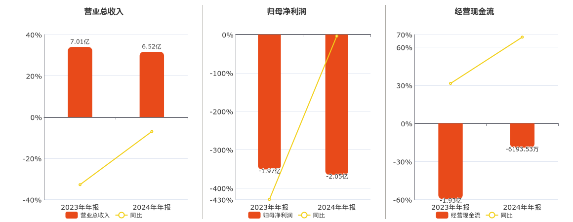 安路科技(688107.SH)：2024年年报净利润为-2.05亿元，同比亏损扩大
