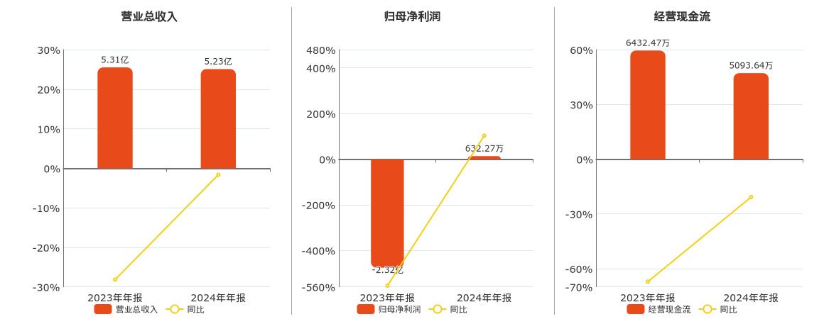 多伦科技(603528.SH)：2024年年报净利润为632.27万元