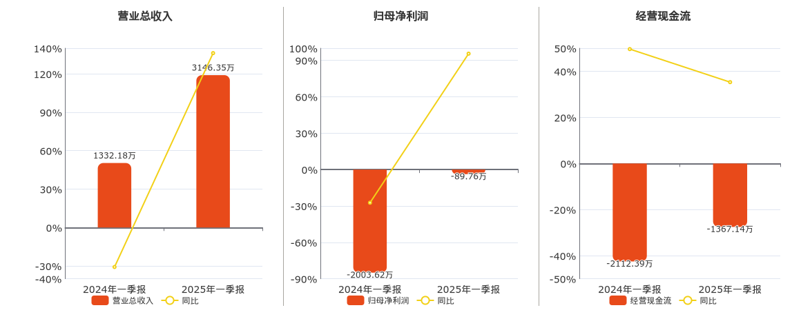 天迈科技(300807.SZ)：2025年一季报净利润为-89.76万元