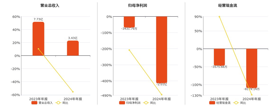 雅博股份(002323.SZ)：2024年年报净利润为-2.01亿元，同比亏损扩大