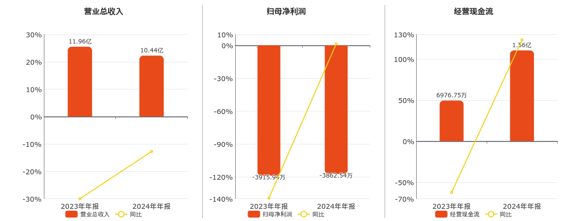丰山集团(603810.SH)：2024年年报净利润为-3862.54万元