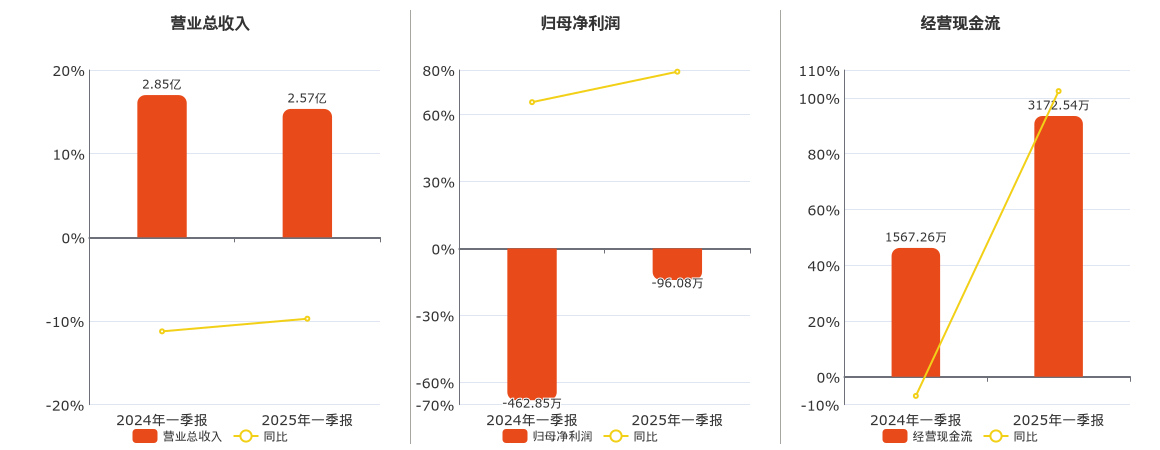*ST天创(603608.SH)：2025年一季报净利润为-96.08万元