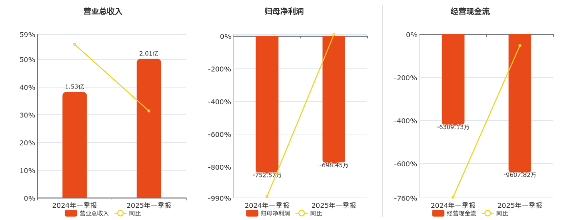绿能慧充(600212.SH)：2025年一季报净利润为-698.45万元