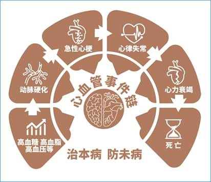 5.18全国血管健康日 |通络药“四大名捕”系统干预心血管事件链