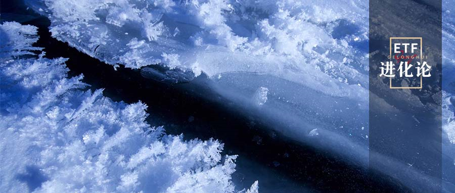 暴涨325倍后，林园继续买入这家公司！