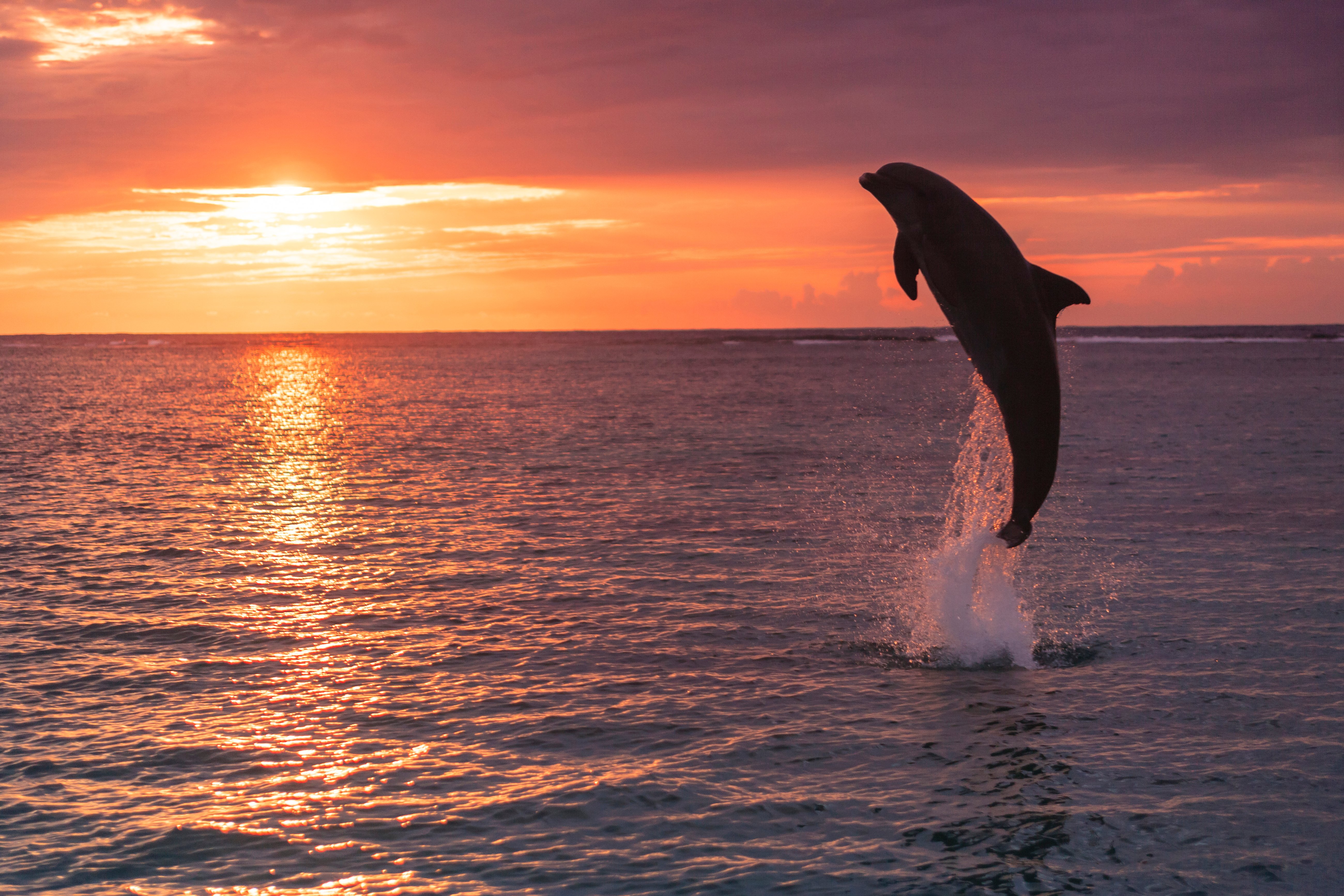 十大券商：新一轮“东升西落”很快来临，关注三大主线