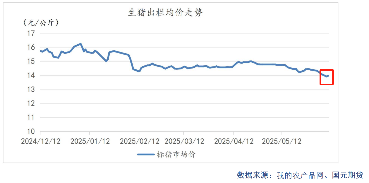 猪价跌破7元，三大数据预示猪周期拐点