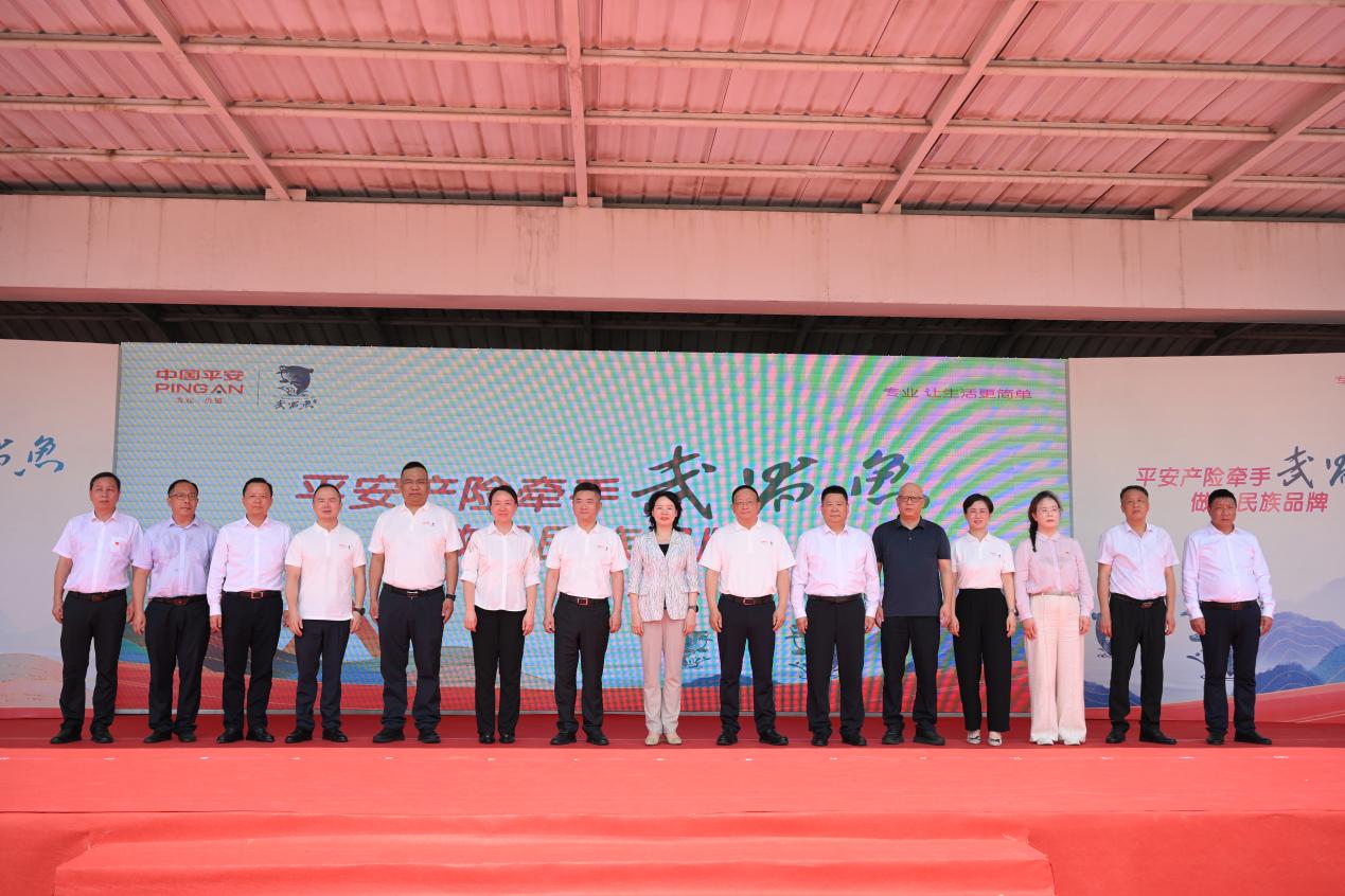 平安产险：坚持党建引领，多措并举助力“三农”实现“三增”