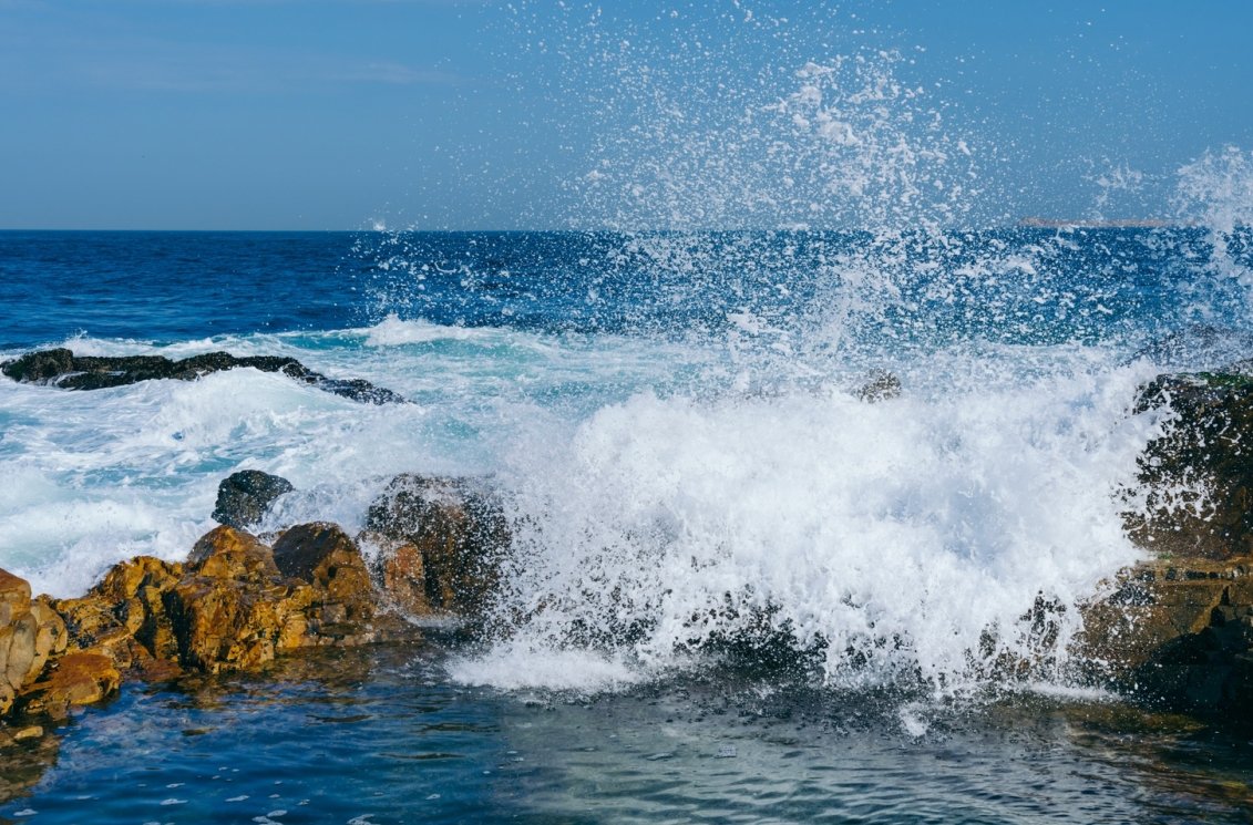 涨停潮！板块主升浪开启