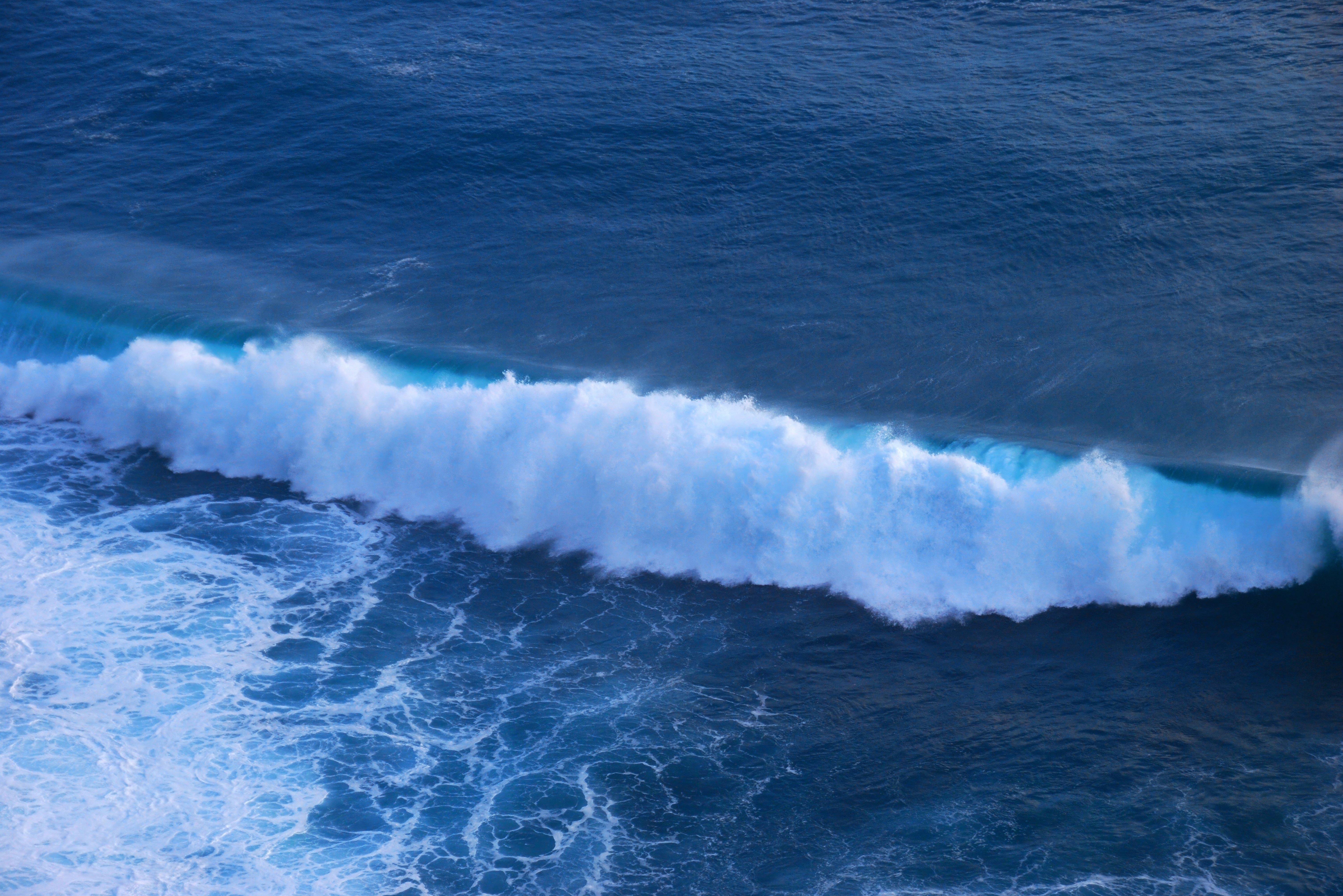 三叔的海洋经济生意经
