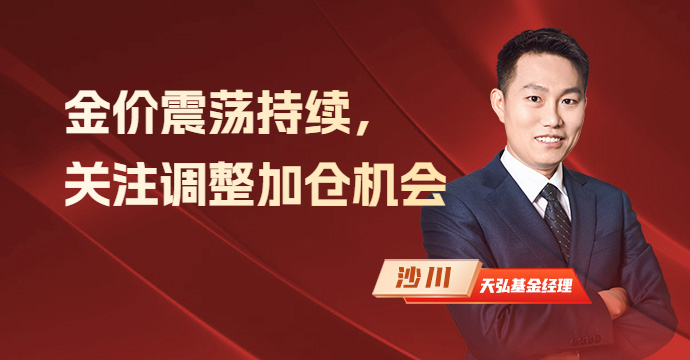 国际金价震荡持续，关注调整加仓机会