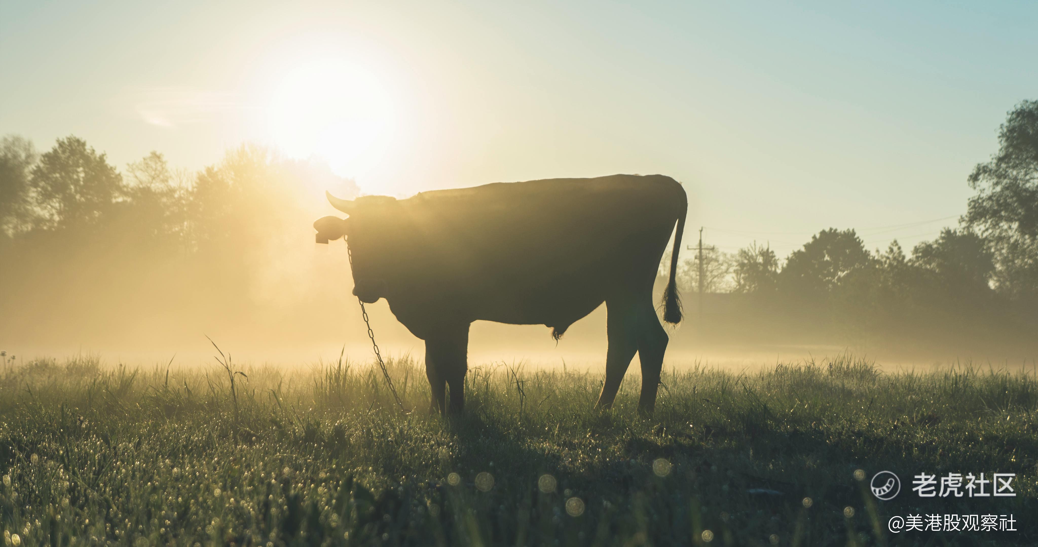 回顾历史，中国牛市又来了吗？