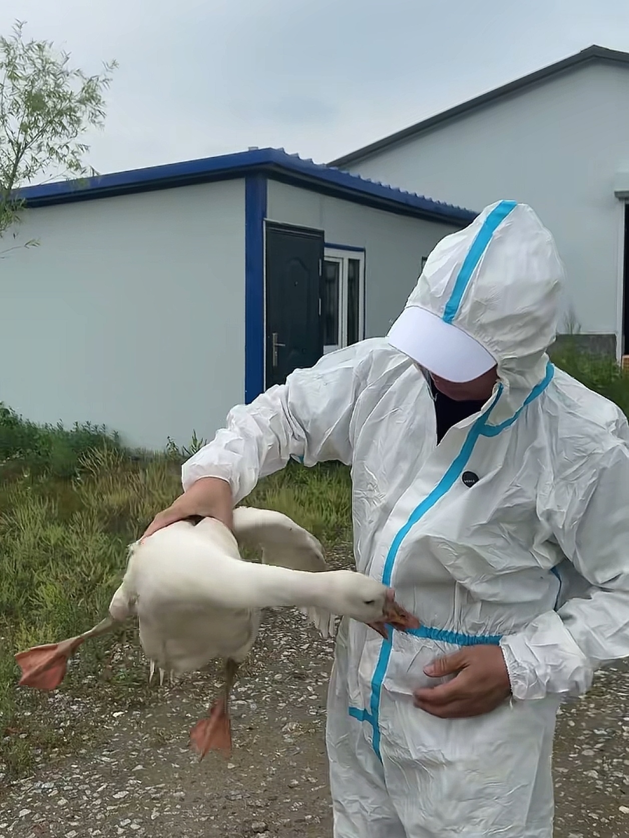 周富裕的“心”质生产力革命：一位卤味匠人如何重塑行业灵魂