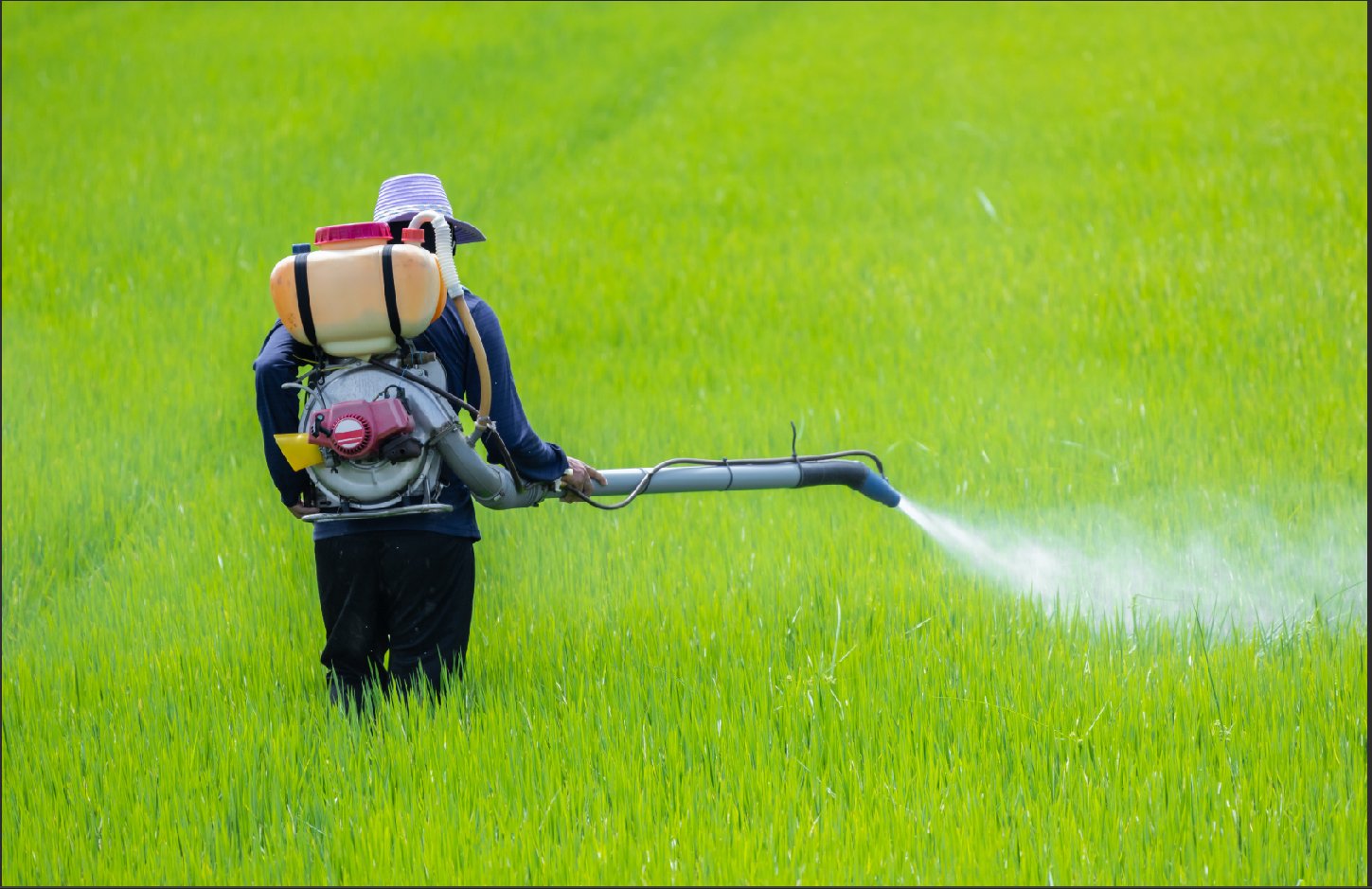 丰倍生物冲击IPO，专注于地沟油再利用领域，净利润连续两年下滑
