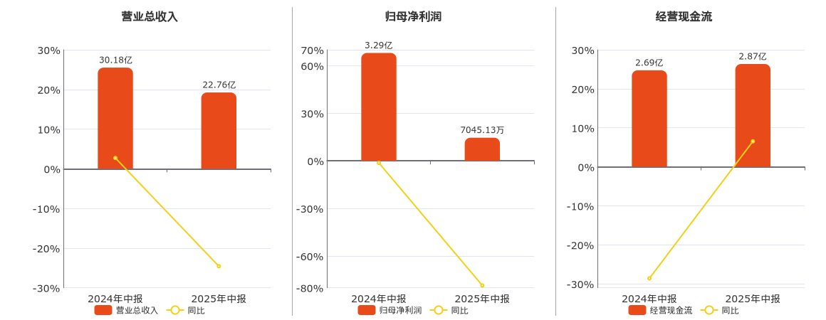 雪天盐业(600929.SH)：2025年中报净利润为7045.13万元、同比较去年同期下降78.56%