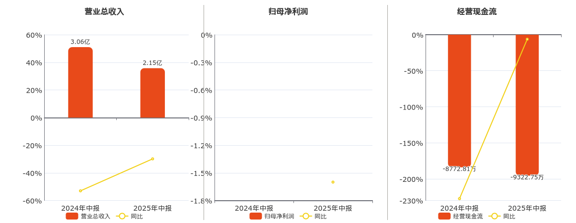 雪浪环境(300385.SZ)：2025年中报净利润为-1.00亿元，同比亏损放大