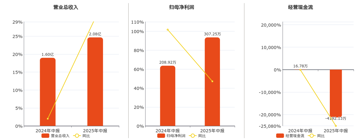 兆新股份(002256.SZ)：2025年中报净利润为307.25万元