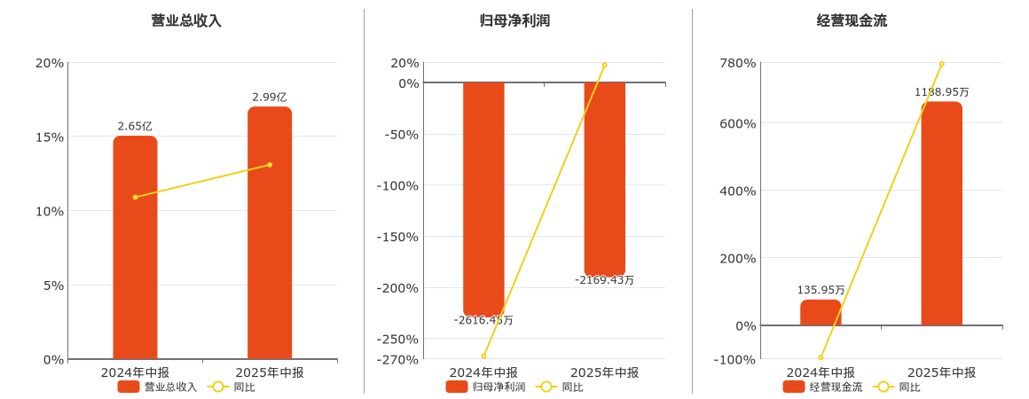 德恩精工(300780.SZ)：2025年中报净利润为-2169.43万元