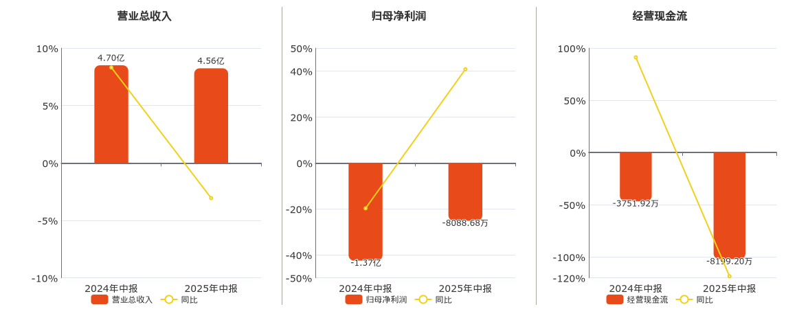 华民股份(300345.SZ)：2025年中报净利润为-8088.68万元