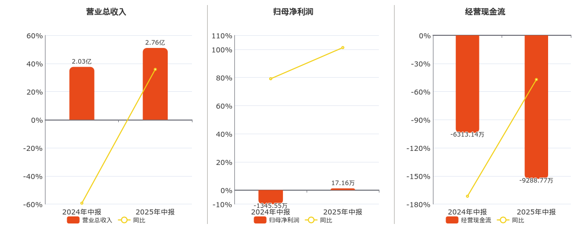 国创高新(002377.SZ)：2025年中报净利润为17.16万元