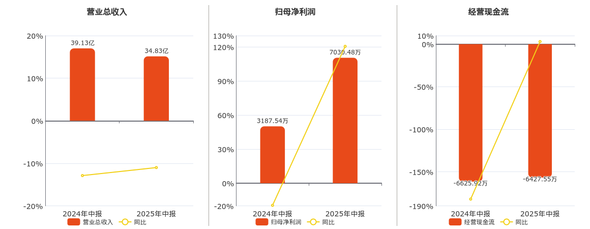 天龙集团(300063.SZ)：2025年中报净利润为7030.48万元