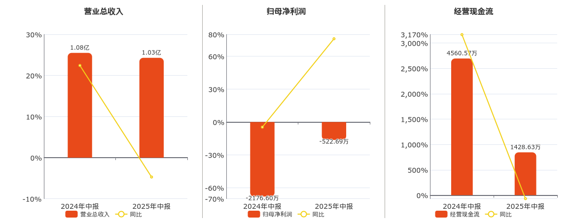 ST朗源(300175.SZ)：2025年中报净利润为-522.69万元