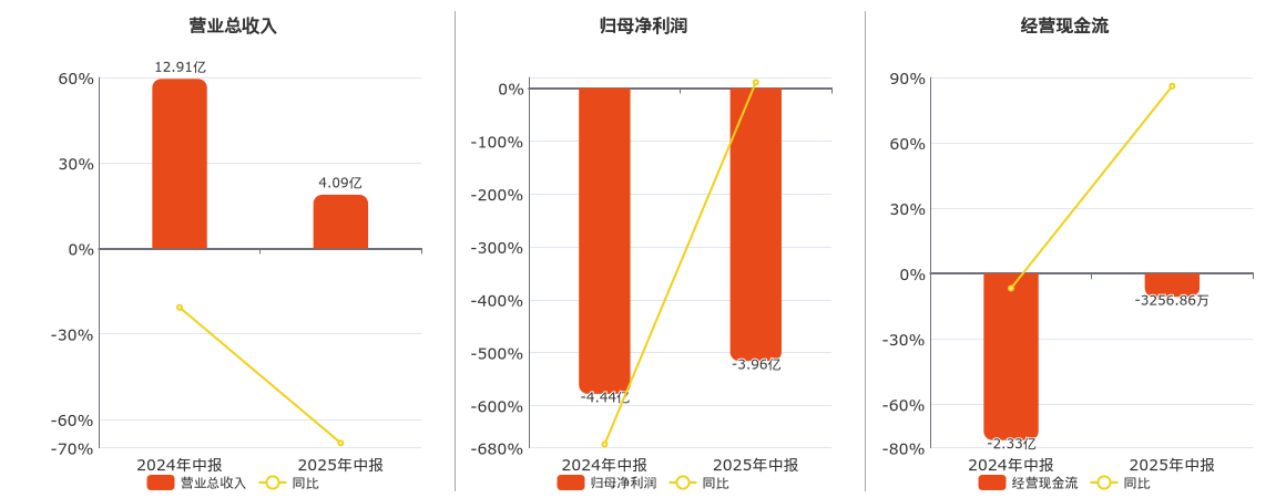 *ST中装(002822.SZ)：2025年中报净利润为-3.96亿元
