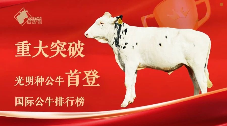 光明乳业2025半年报：核心指标稳中向好，全链创新构筑行业韧性壁垒