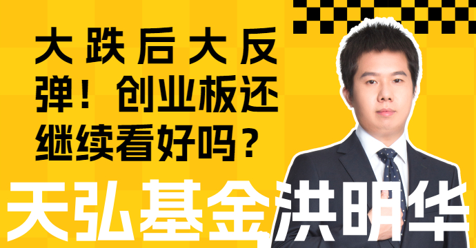 大跌后大反弹！深度解析：创业板还继续看好吗？