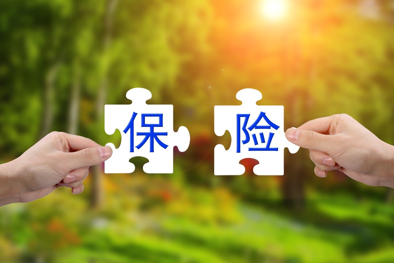 白鸽在线港股IPO，超7成收入来自保险交易服务，业绩持续亏损