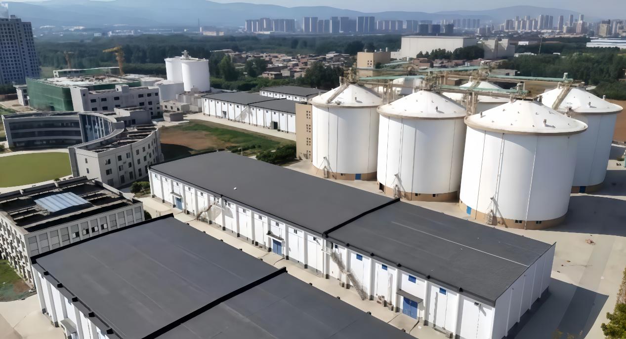 喜迎农民丰收节+恒丰银行：金融活水润乡土+绘就乡村振兴好“丰”景