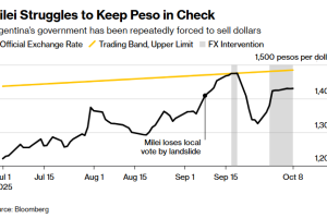 阿根廷比索危机加重，政府票据利率超过80%