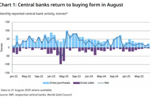 尽管金价飙升，各国央行也得了“错失恐惧症”，持续购入