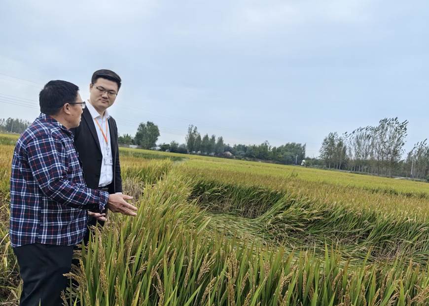 平安融易山东开启“三农护航计划”，全力支持打好“三秋”生产攻坚战