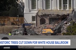 “以权力改写记忆”引发争议：为特朗普白宫宴会厅腾地　肯尼迪花园被夷平