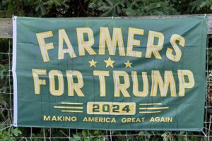 玉米、债务和疑虑：创纪录的收成预测震撼了特朗普的农村基本盘