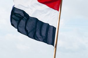 极右翼试验失败后荷兰选民在选举中倾向回归中间立场