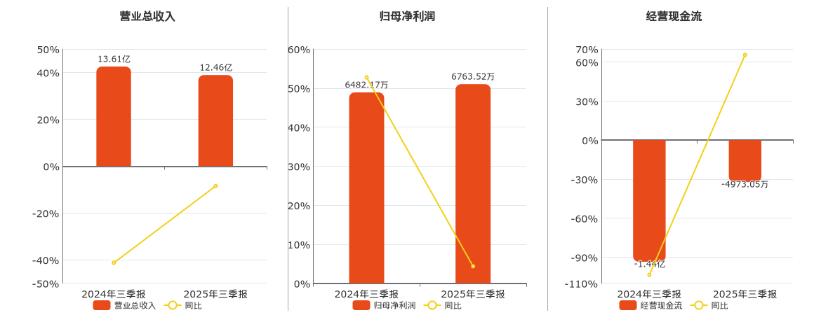 青岛金王(002094.SZ)：2025年三季报净利润为6763.52万元