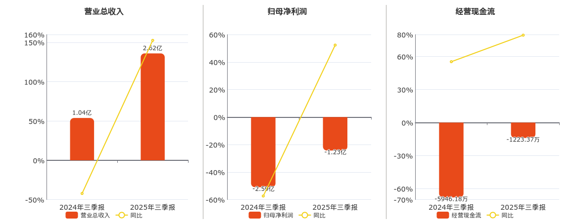 *ST大立(002214.SZ)：2025年三季报净利润为-1.23亿元