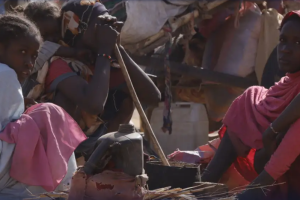 国际组织和欧盟强烈谴责苏丹武装组织攻占城市后在医院进行屠杀，警告达尔富尔将发生大规模种族灭绝