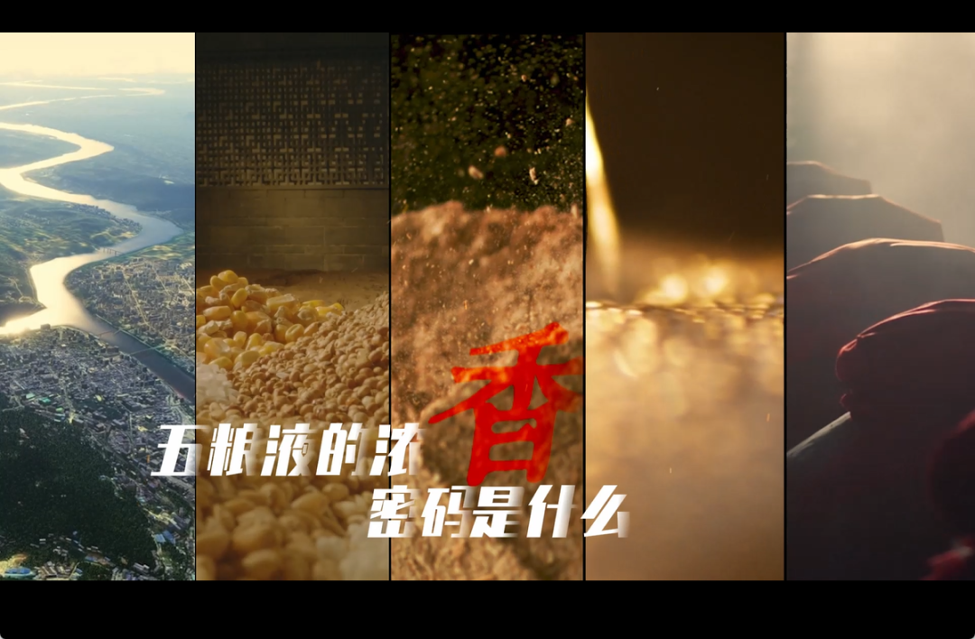 活窖七百年 匠心酿和美：解码五粮液“大国浓香”的生命密码