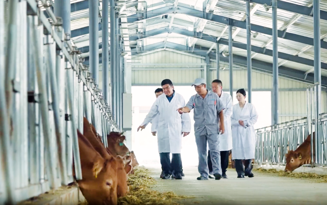 金融赋能实体经济，济宁银行勇担当重实干