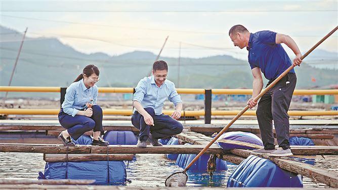 多元金融服务 精准赋能实体经济 厦门国际银行创新产品护航小微企业成长，破解小微企业融资难题