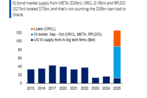 美国银行：AI泡沫和疲软的消费市场可能给明年股市带来双重打击