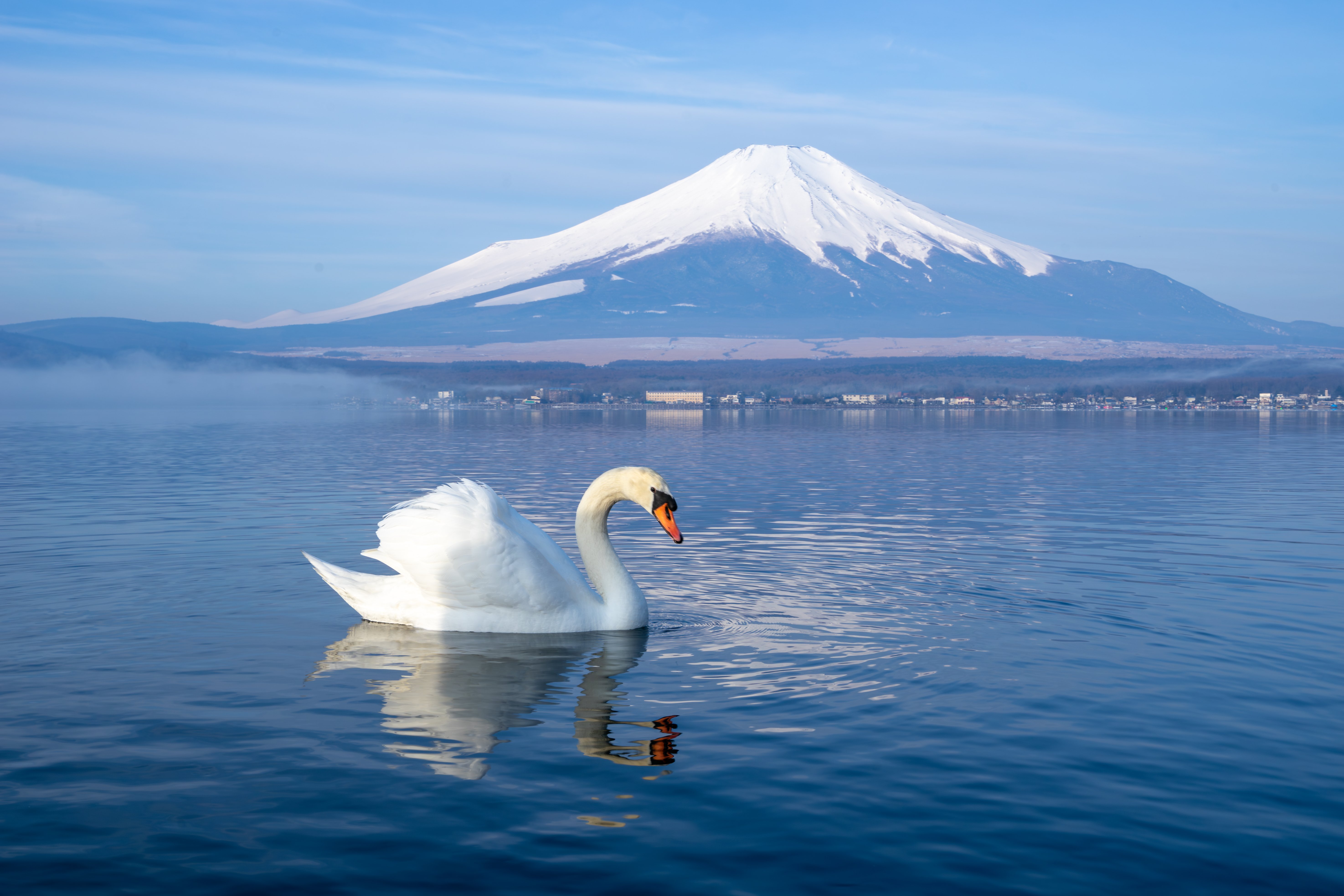 刚刚，集体飙涨！史诗级利好突袭