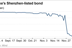 政府支持力度减弱，中国房地产市场危机使国有背景的万科也陷入困境