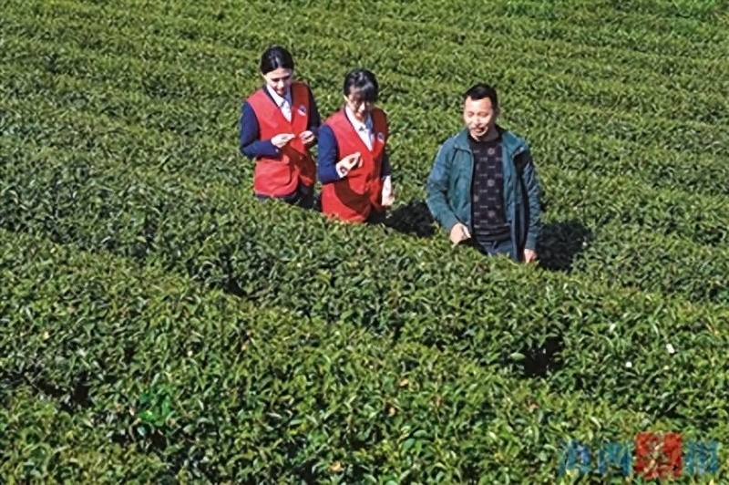 创新金融产品 赋能绿色产业！厦门农商银行扎实做好“五篇大文章”，统筹推进绿色金融业务